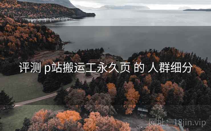 评测 p站搬运工永久页 的 人群细分