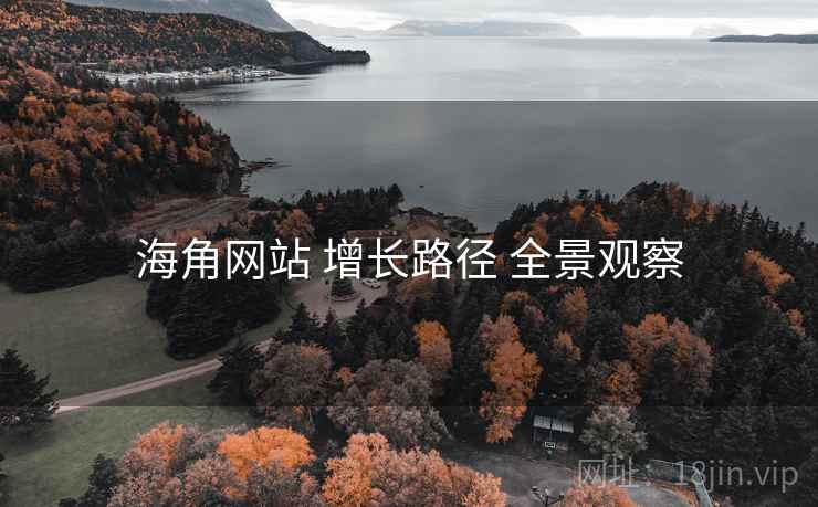 海角网站 增长路径 全景观察