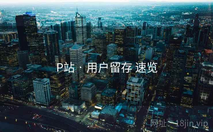 P站 · 用户留存 速览