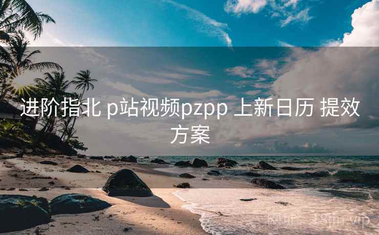 进阶指北 p站视频pzpp 上新日历 提效方案