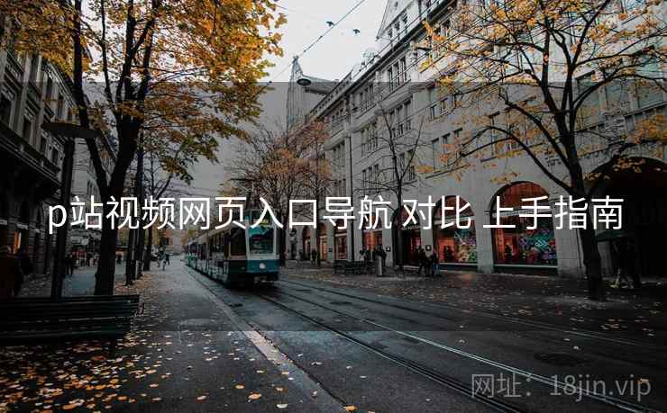 p站视频网页入口导航 对比 上手指南