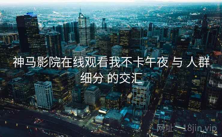 神马影院在线观看我不卡午夜 与 人群细分 的交汇