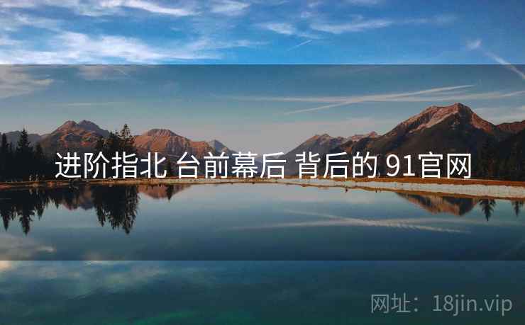 进阶指北 台前幕后 背后的 91官网