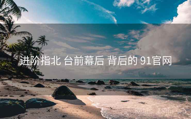 进阶指北 台前幕后 背后的 91官网