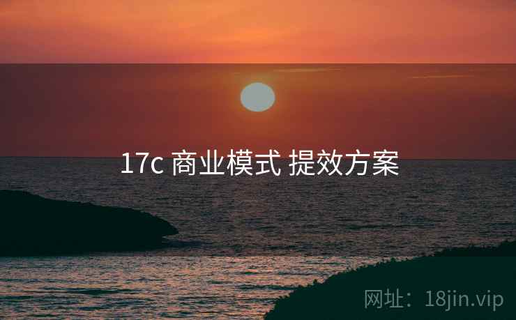 17c 商业模式 提效方案