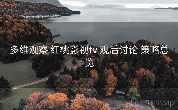 多维观察 红桃影视tv 观后讨论 策略总览