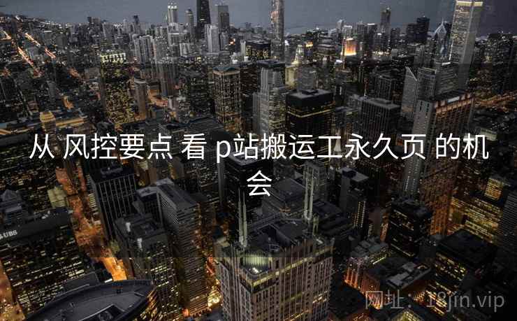从 风控要点 看 p站搬运工永久页 的机会