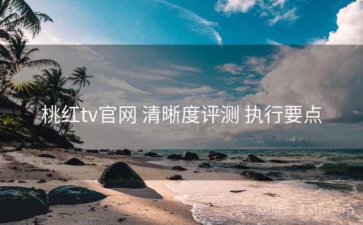 桃红tv官网 清晰度评测 执行要点